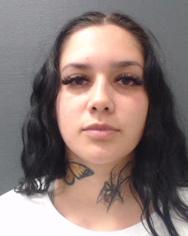 PEREZ, SARA NICOLE booking photo