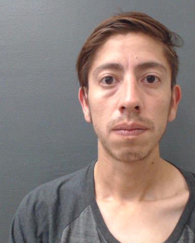 DE LA GARZA, LUIS JONATHAN booking photo