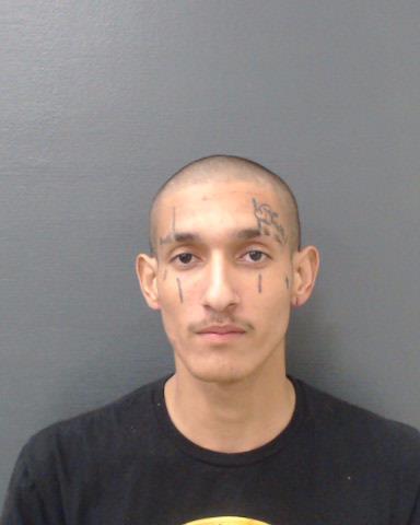 HOY, JOSIAH LEVI booking photo