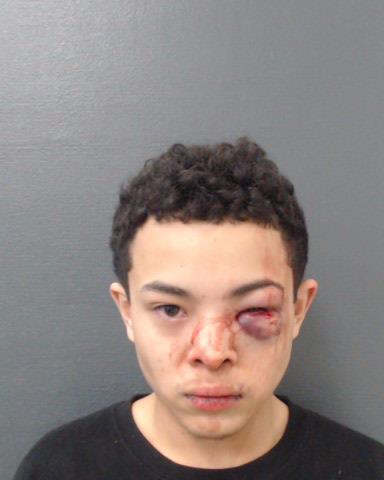 MORENO, BRYAN DANIEL booking photo