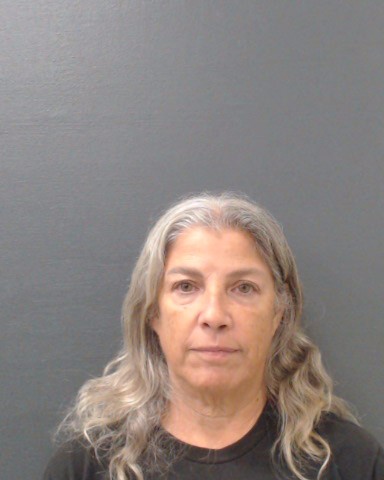 BOWER, MARY ANNEKE booking photo