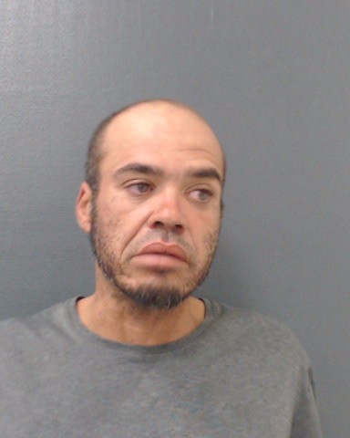 WEBSTER, BRYAN ALAN booking photo