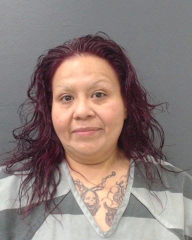 LOPEZ, LORENA ANN booking photo