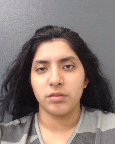 RODRIGUEZ, EMILIE DILLEN booking photo
