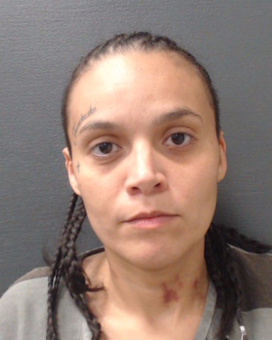 GONZALES, LEANNA MARIE booking photo