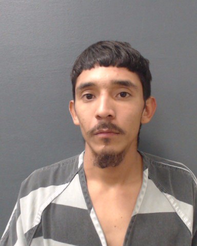 MEJIA DELGADO, PEDRO ENRIQUE booking photo