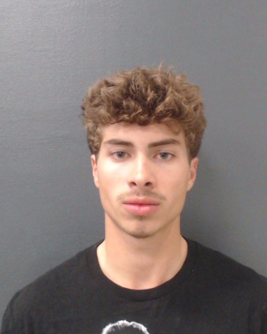 STEELE, MCKANE NELSON booking photo