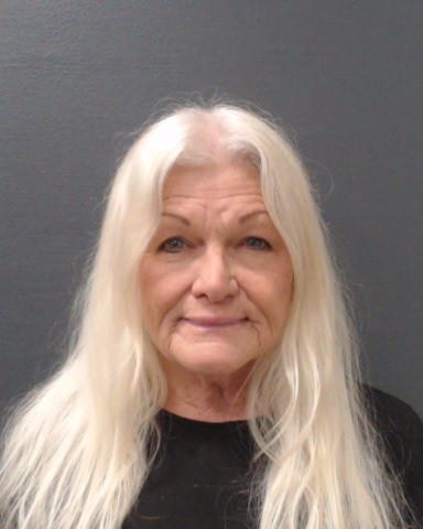FRIESENHAHN, MELINDA LUCILLE arrested by Comal County SO/PD