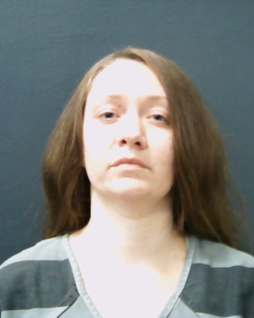 DAVIES, LINDSAY NICOLE booking photo