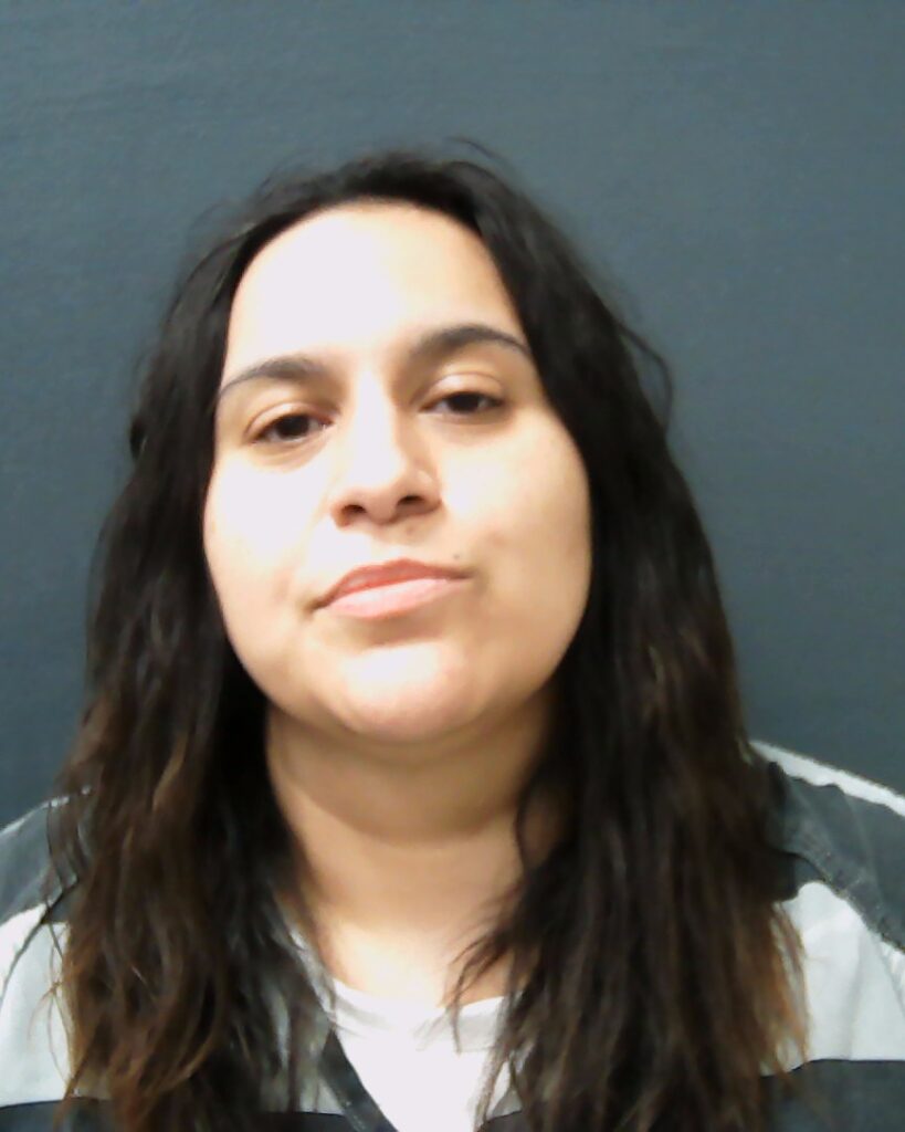 GONZALES, ELENA TERESA booking photo