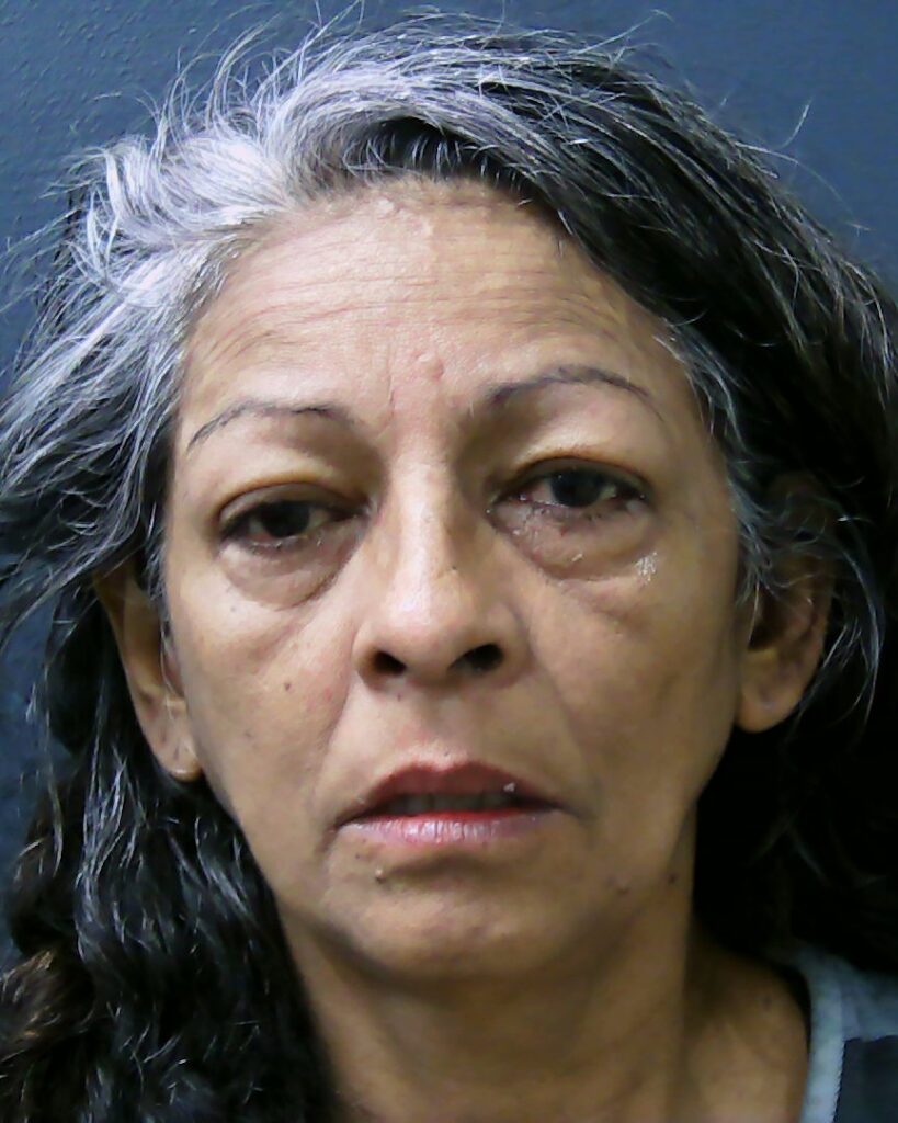 RAMIREZ, LINDA booking photo