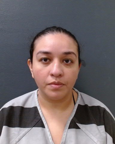 DELGADO, NINA MELISSA booking photo