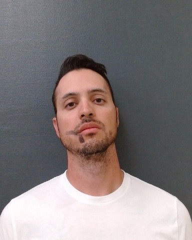 GREISEL, RONALD GARETH booking photo