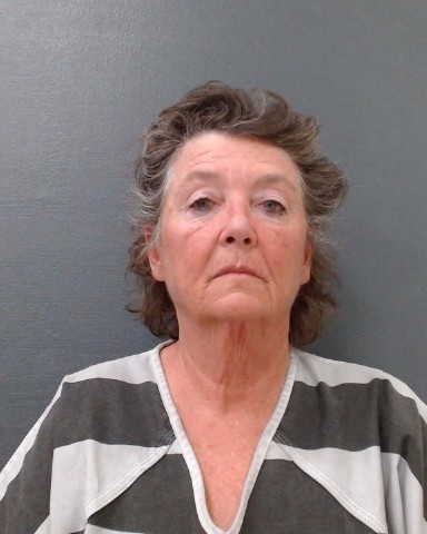 WININGER, JILL ANNETTE booking photo