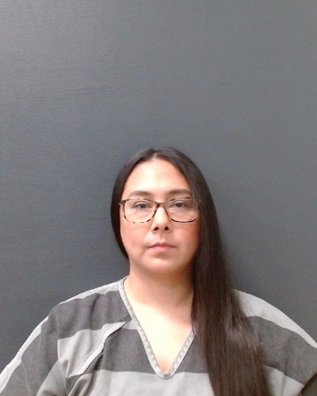 STERN, VANESSA ASHLEY booking photo
