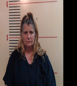 DOUGHERTY, MONICA ELAINE booking photo