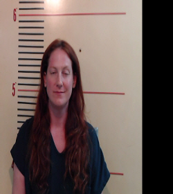 Harris, Sara Michelle booking photo