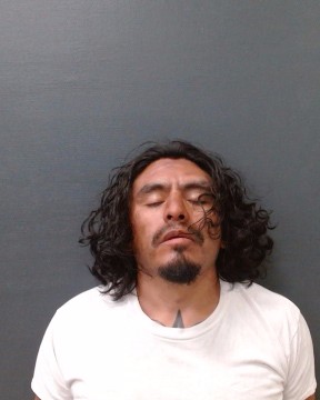 ARREOLA, ROLANDO ERNESTO booking photo