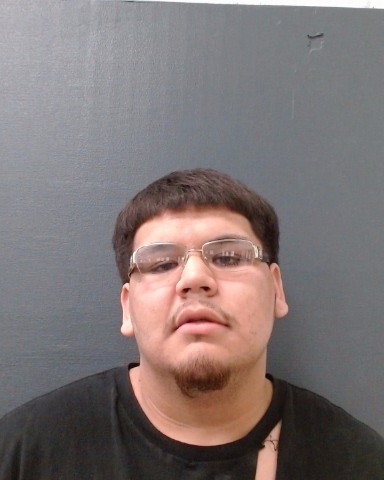 DELEON, JOE RYAN booking photo