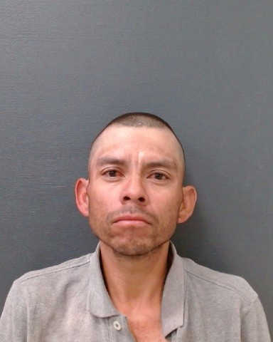 NINO-MARTINEZ, JOSE FRANCISCO booking photo