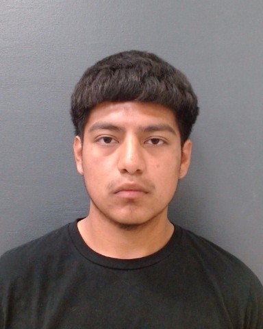 BERMEA, JOSHUA booking photo