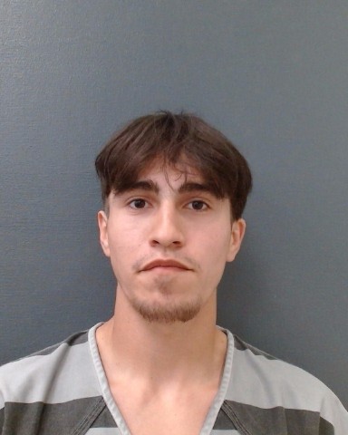 RODRIGUEZ, HAVEN RENE booking photo