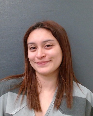 VIGIL, ILLIANA HAVEN booking photo