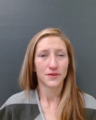 NORWITZ, STEPHANIE DIANE booking photo