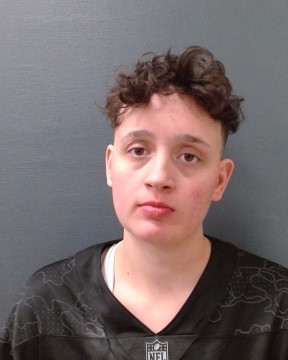 PEREZ, CANDICE BREANN booking photo