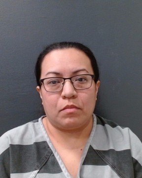 ORTIZ, LUCINDA arrested by Comal County SO/PD
