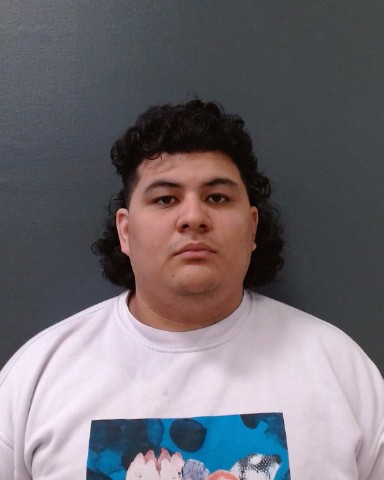 DELGADILLO SANCHEZ, ENRIQUE arrested by Comal County SO/PD