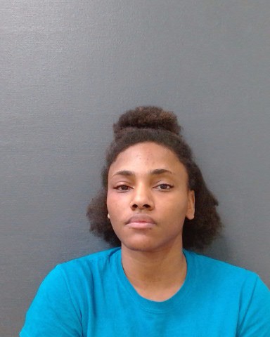 COMBS, INDIA RICHEA arrested by Comal County SO/PD