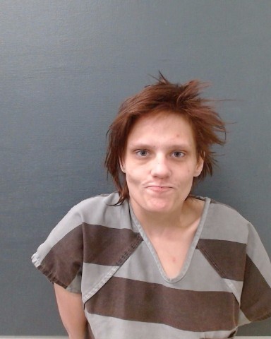 THOMPSON, SHAYAN ELIZABETH booking photo