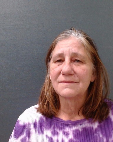 MCLAUGHLIN, LORI BETH booking photo