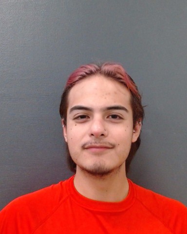 OCHOA, PATRICK JONMICHAEL, II booking photo