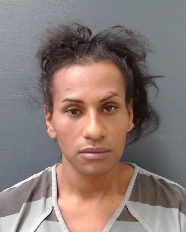 JIMENEZ-YOUNG, SERGIO SHAWDEL booking photo