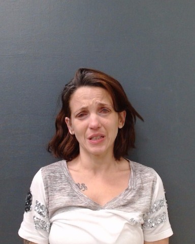 CASTRO, DANIELLE MARIE booking photo