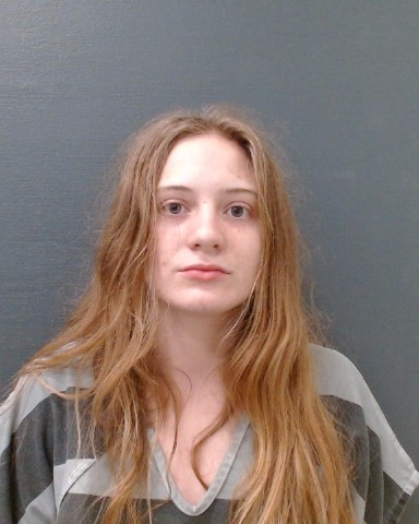 FABLING, MADELYN ROSE booking photo