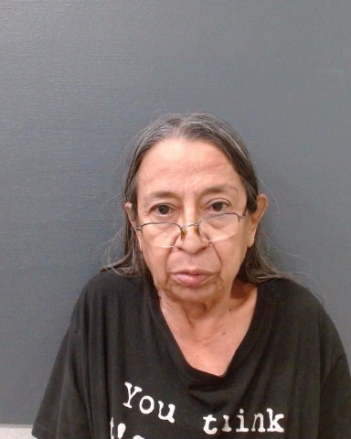 HERNANDEZ, CRISTINA R. booking photo
