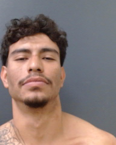 AVILA, GUSTAVO booking photo