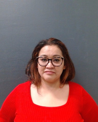 SANCHEZ, IVY ROSAS booking photo