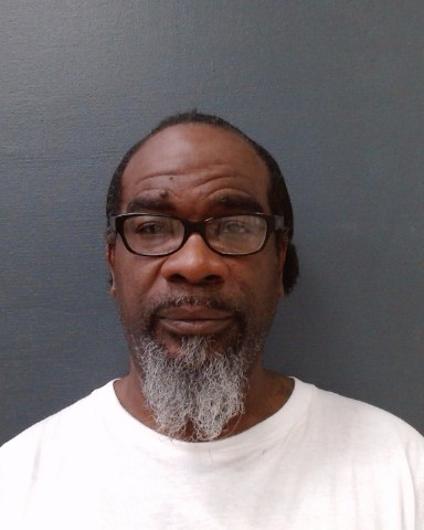 WHITE, MELVIN GENE booking photo