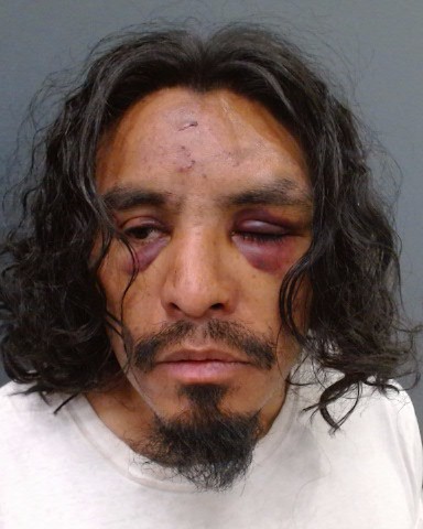 ARREOLA, ROLANDO ERNESTO booking photo
