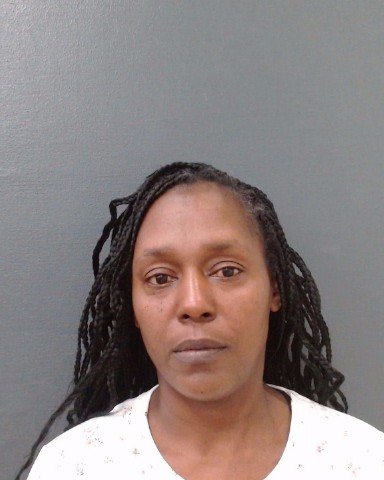 ROBB, SYLVIA NICOLE booking photo