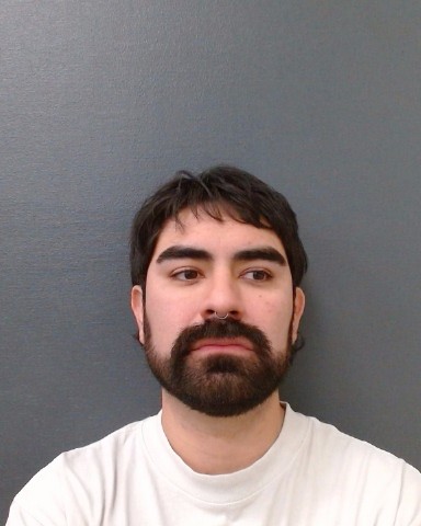 MEDINA, GABRIEL RAY booking photo