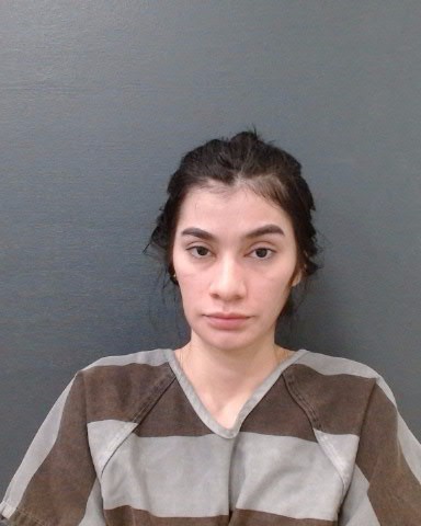 GONZALEZ-BRACHO, NOEMY JOSEFINA booking photo