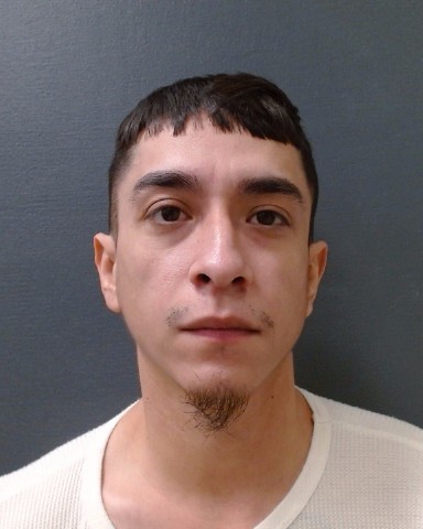 LOPEZ-GONZALEZ, ADRIAN booking photo