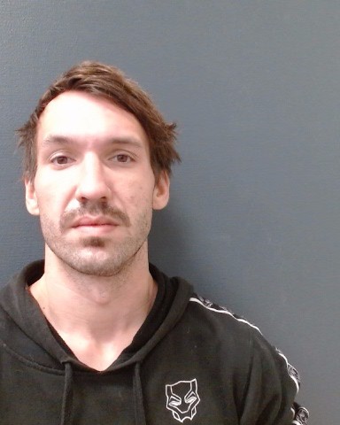 SCHOLL, TREVOR ATWELL booking photo