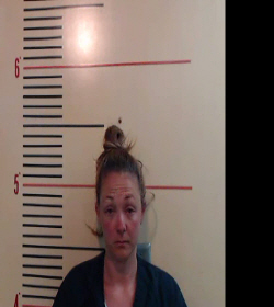 GARCIA, MINDI MARIE booking photo