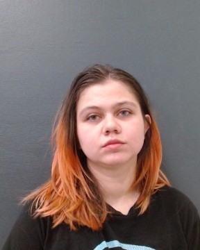 ROBERSON, MADISON ALEXANDRIA booking photo